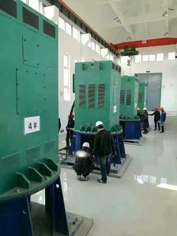 新郑某污水处理厂使用我厂的立式高压电机安装现场